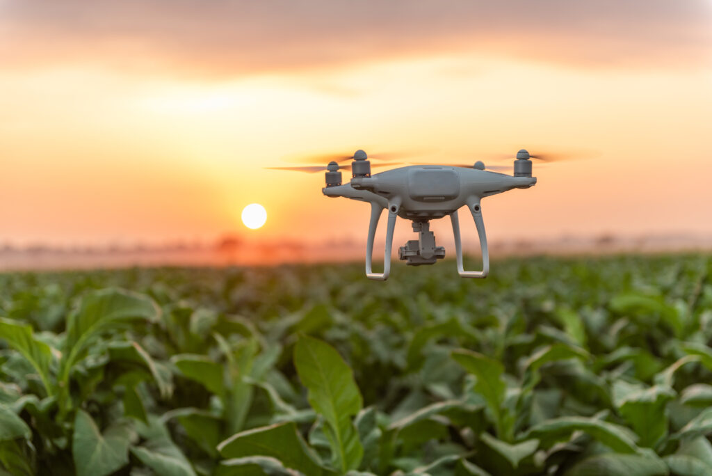 Surveying the future with a drone across a field of crops.